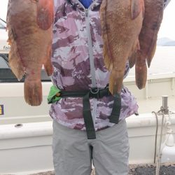 オーフリー 釣果