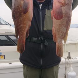 オーフリー 釣果