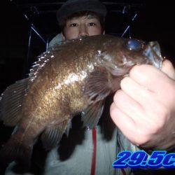 オーシャンマスター 釣果