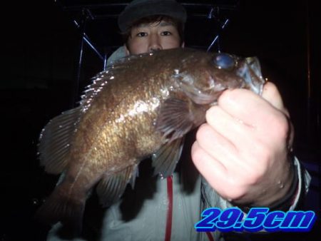 オーシャンマスター 釣果