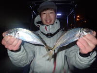 オーシャンマスター 釣果