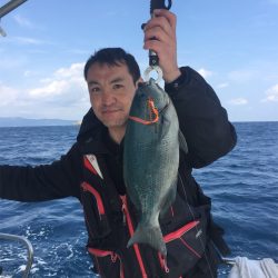 マタウマリンサービス 釣果