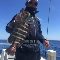 マタウマリンサービス 釣果