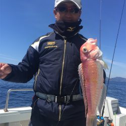 マタウマリンサービス 釣果