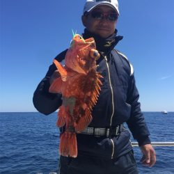 マタウマリンサービス 釣果