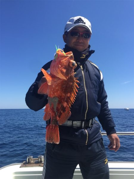 マタウマリンサービス 釣果