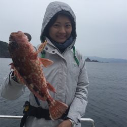 マタウマリンサービス 釣果