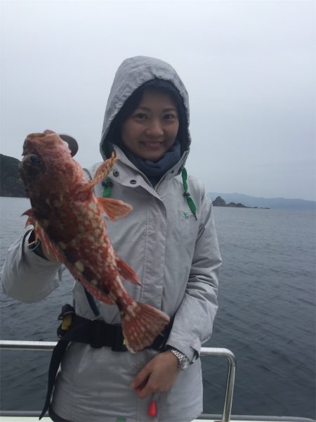 マタウマリンサービス 釣果