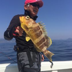 マタウマリンサービス 釣果