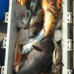 モンロー号 釣果