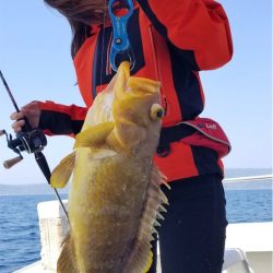 マタウマリンサービス 釣果