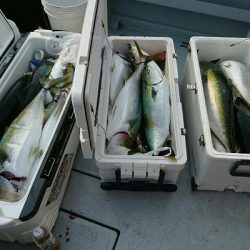 海龍丸（福岡） 釣果