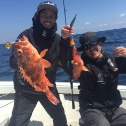 マタウマリンサービス 釣果