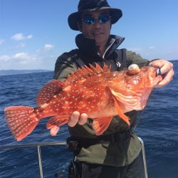 マタウマリンサービス 釣果