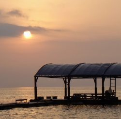 本部釣りイカダ 釣果