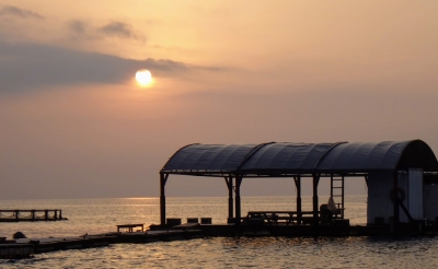 本部釣りイカダ 釣果