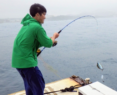 本部釣りイカダ 釣果