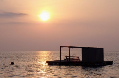 本部釣りイカダ 釣果