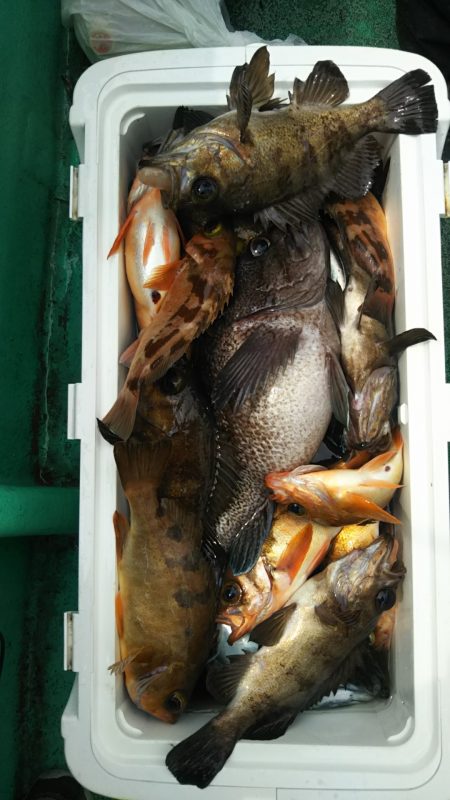 モンロー号 釣果