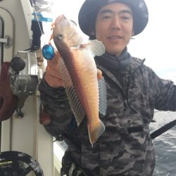 マタウマリンサービス 釣果