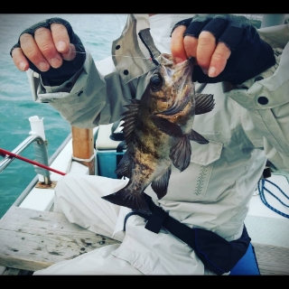 内浜丸 釣果