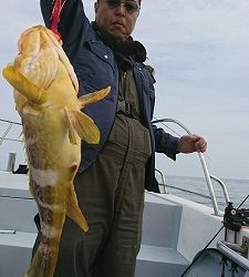 海龍丸（福岡） 釣果