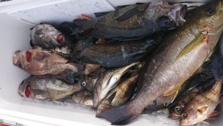 オーフリー 釣果