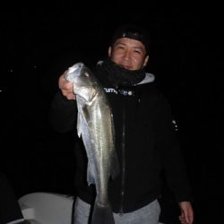 ルアー船マヒマヒ 釣果