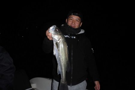 ルアー船マヒマヒ 釣果