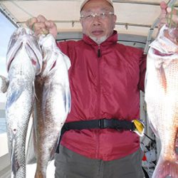 松本釣船２ 釣果