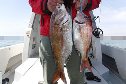 松本釣船２ 釣果
