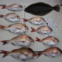 来温丸(らいおんまる) 釣果