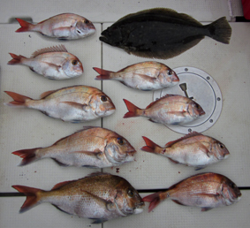 来温丸（らいおんまる） 釣果