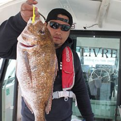 松本釣船２ 釣果