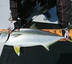 海龍丸（福岡） 釣果