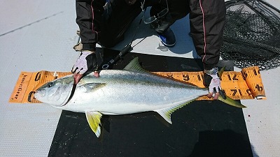 海龍丸（福岡） 釣果
