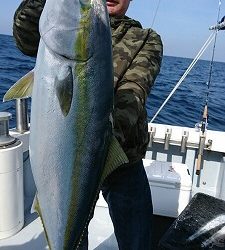 海龍丸（福岡） 釣果