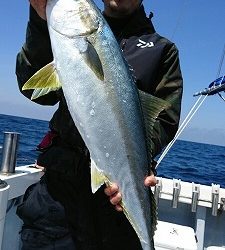 海龍丸（福岡） 釣果