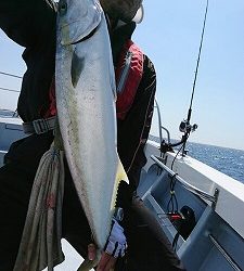 海龍丸（福岡） 釣果