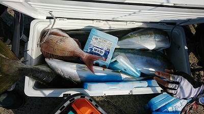 海龍丸（福岡） 釣果