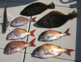 来温丸（らいおんまる） 釣果