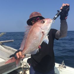 マタウマリンサービス 釣果