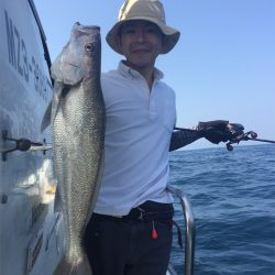 マタウマリンサービス 釣果