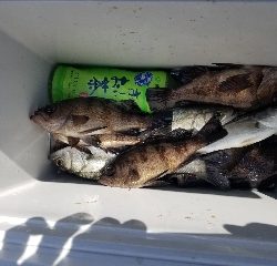 内浜丸 釣果