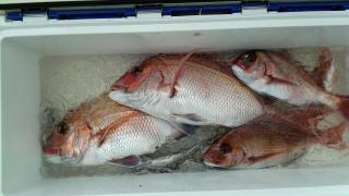 長栄丸(静岡) 釣果