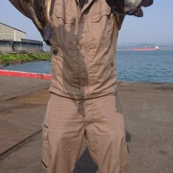 オーフリー 釣果