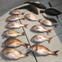 来温丸(らいおんまる) 釣果