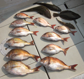 来温丸（らいおんまる） 釣果