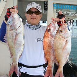 松本釣船２ 釣果