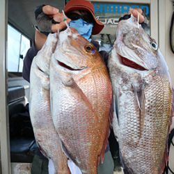 松本釣船２ 釣果